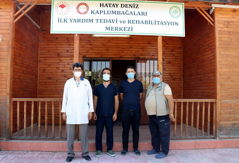 Hatay'da deniz kaplumbağaları tam teşekküllü hastanede tedavi ediliyor - Resim: 1