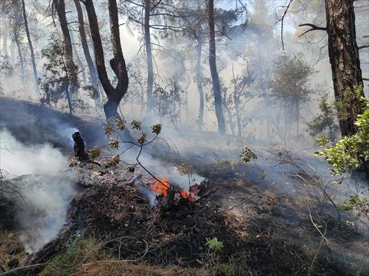 Manisa'da ormanlık alanda çıkan yangın kontrol altında - Resim: 1