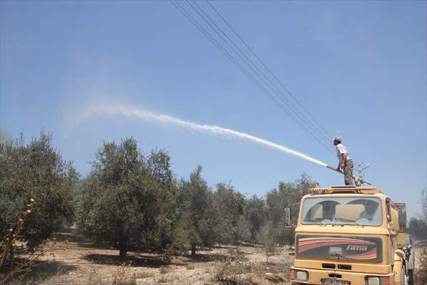 Antalya'da çıkan makilik yangını kontrol altında - Resim: 1