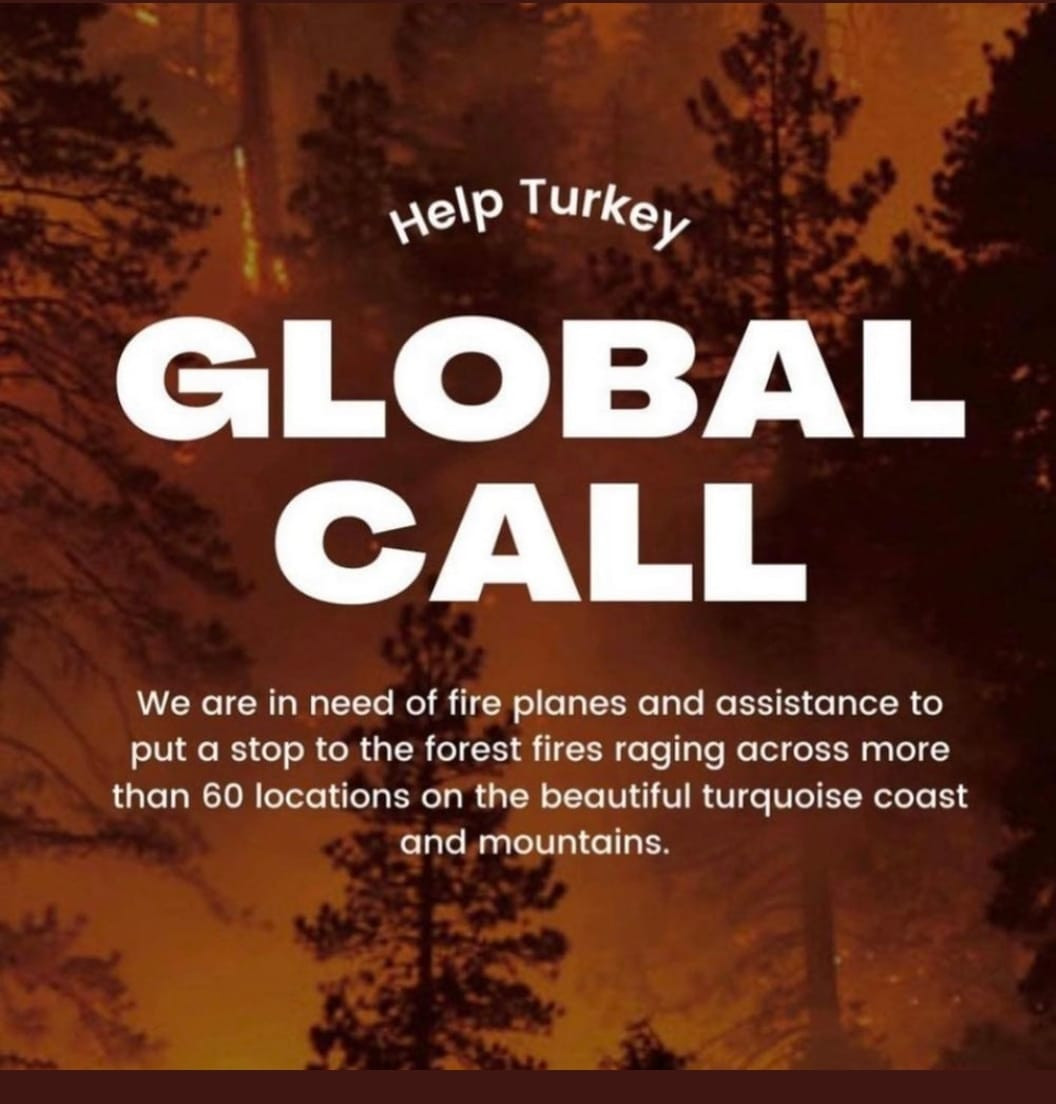 Cumhurbaşkanlığından Global Call açıklaması - Resim: 1