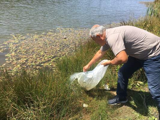 Topuk Yaylası'ndaki 2 gölete binlerce sazan yavrusu bırakıldı - Resim: 1