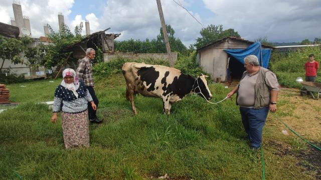 Şehit babasından yangın mağdurlarına destek: İneğini bağışladı - Resim: 1