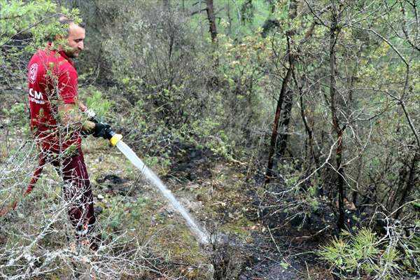 Karabük'te çıkan orman yangını büyümeden söndürüldü - Resim: 3