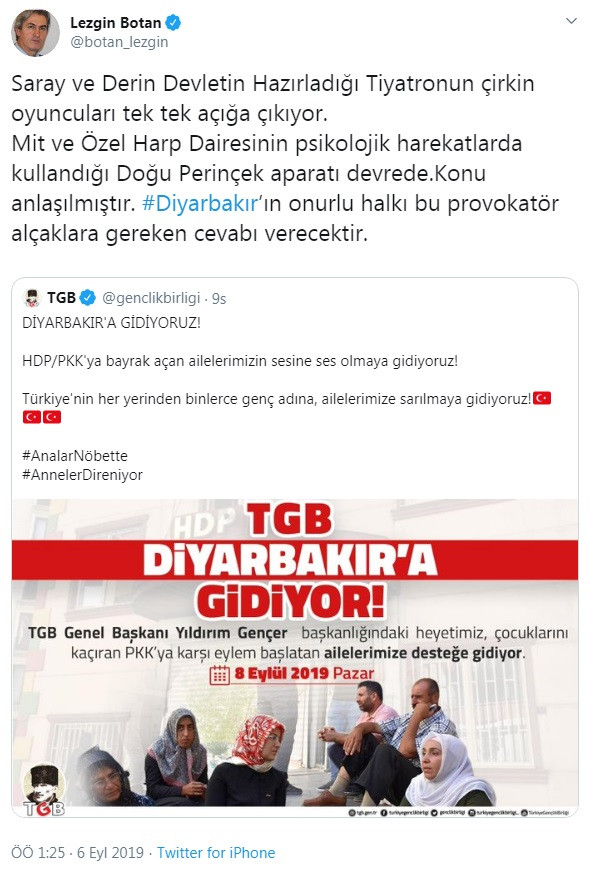 HDP’li Botan’a Perinçek’e hakaretten hapis cezası - Resim: 1