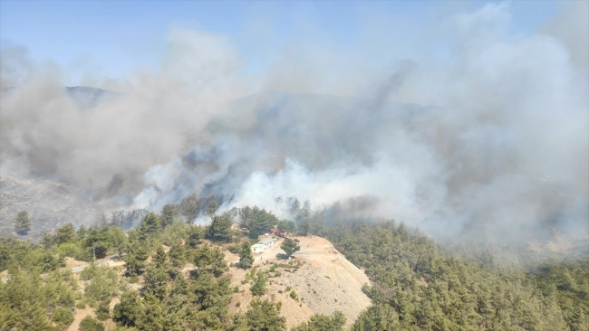 Muğla'da 2 noktada orman yangını çıktı - Resim: 1