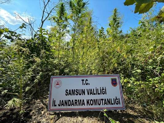 Samsun'da uyuşturucu operasyonları - Resim: 1