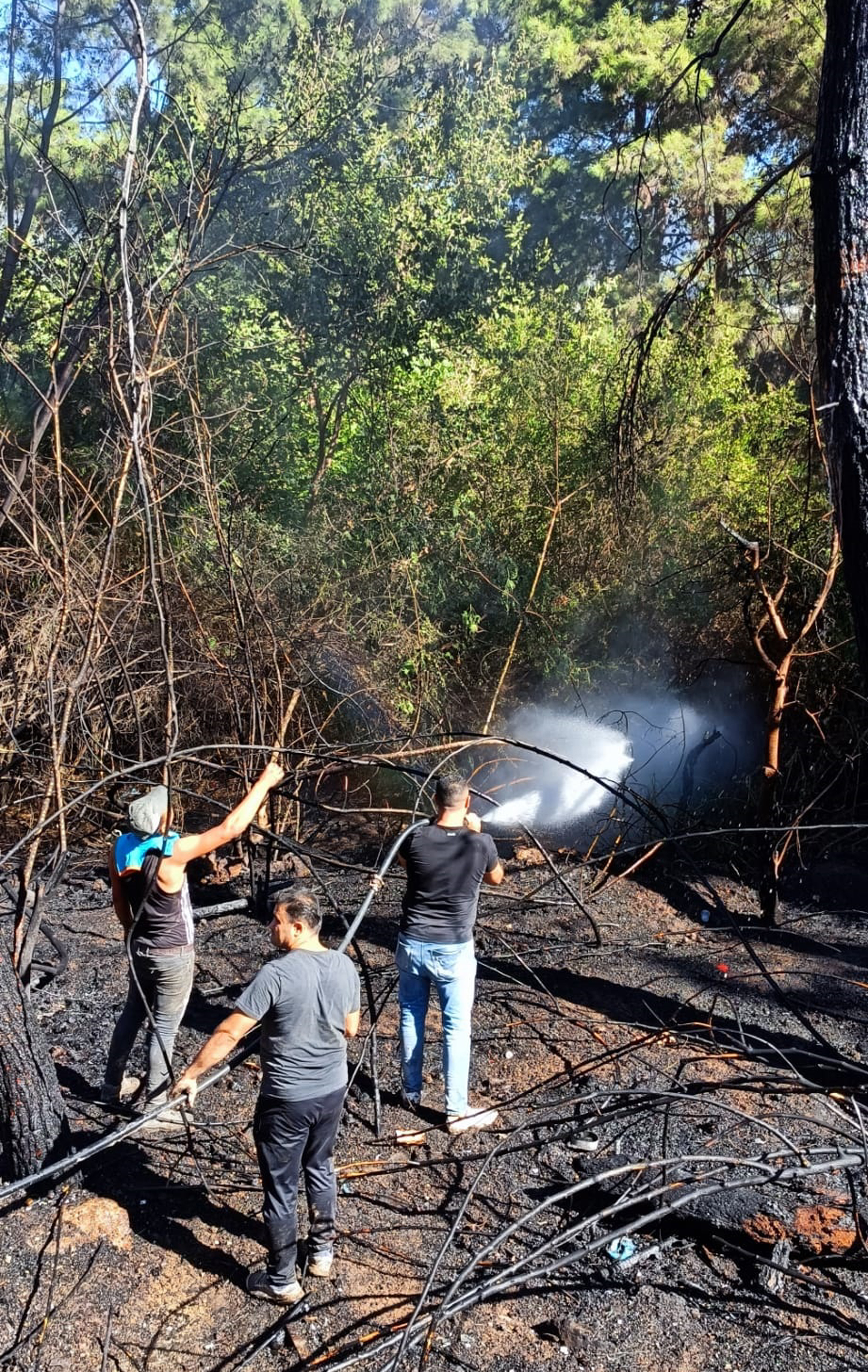 Alanya'da zirai alanda çıkan yangın söndürüldü - Resim: 2