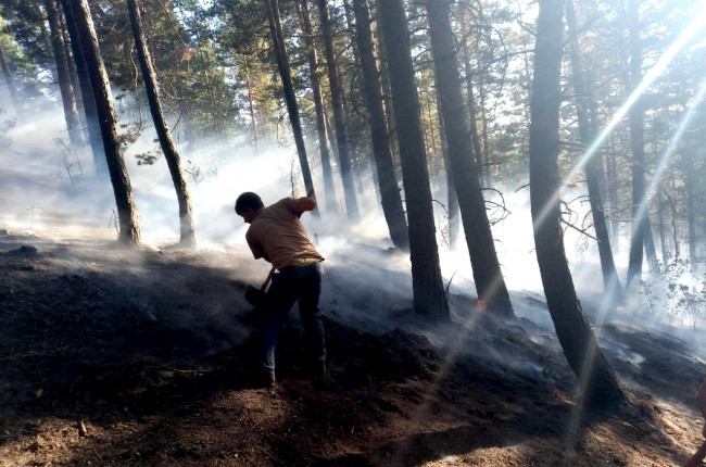 Kars'ta dün 3 noktada çıkan orman yangını kontrol altında - Resim: 1