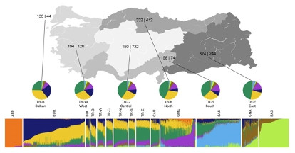 Türk toplumunun genetik kodlarına ışık tutan araştırma sonuçlandı - Resim: 1