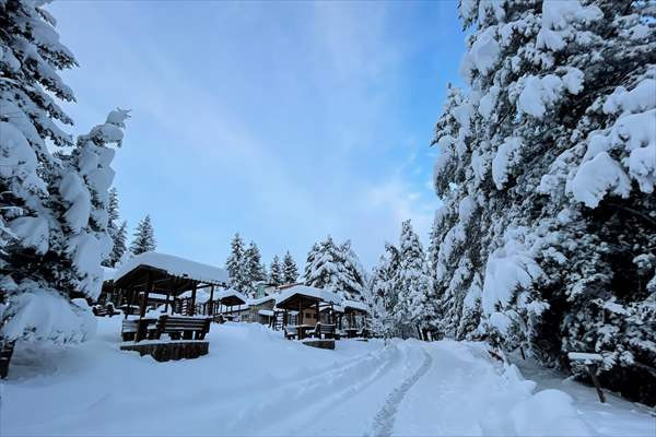 Orta ve Doğu Karadeniz'de kar yaşamı olumsuz etkiliyor - Resim: 3