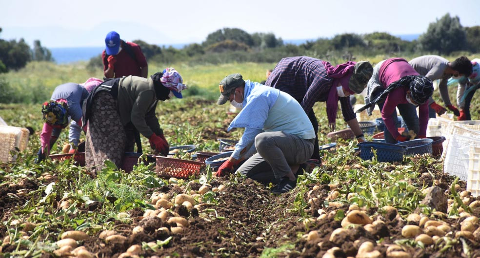 Türkiye Ziraat Odaları Birliği: Marketteki fiyatlar düşmedi - Resim: 3