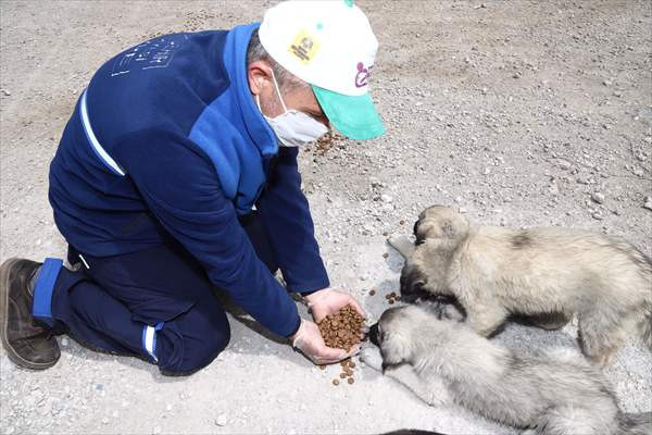 Barınaktaki 'canlar'ı gönüllü hayvan dostları sahipleniyor - Resim: 2