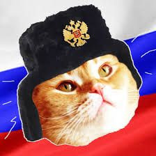 Batı aklını yitiriyor! İşte yasaklanan Rus kedileri - Resim: 1