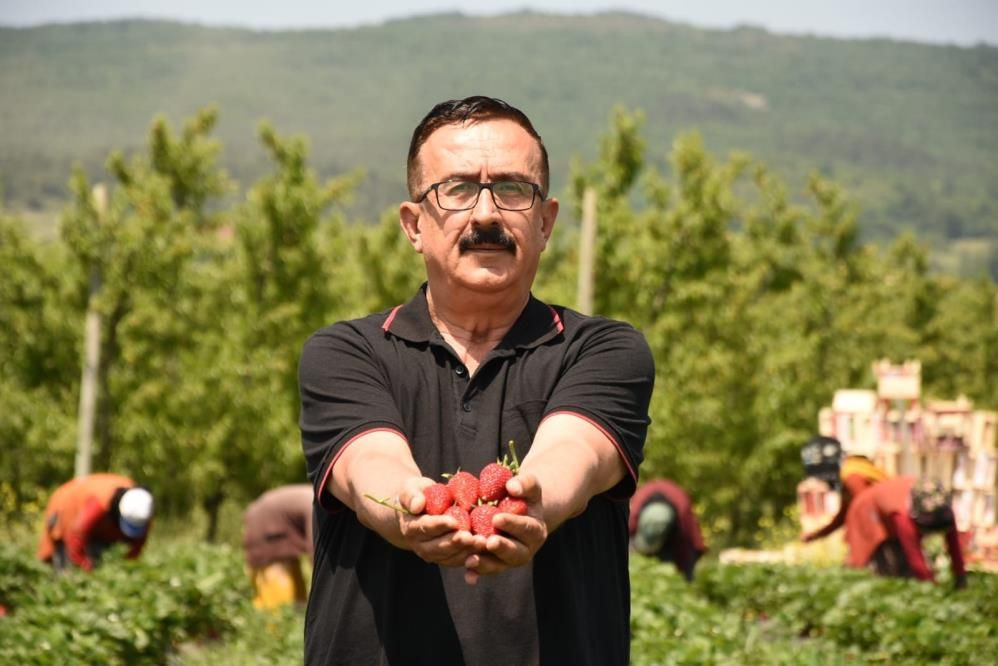 Bursa�da hasadı başladı! 400 milyon TL gelir bekleniyor