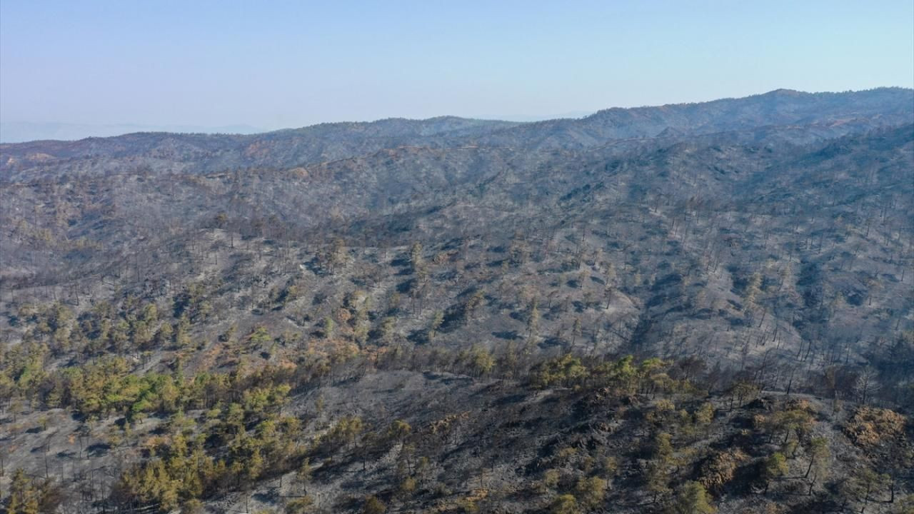Yangın, Marmaris'i kömür karasına bürüdü! Zarar gören alanlar havadan görüntülendi - Resim: 1