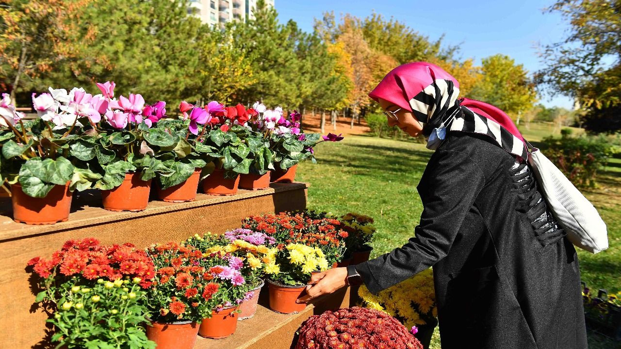Türkiye'de bir ilk: "Çiçeğim Takas" uygulaması başlıyor - Resim: 4