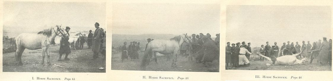 Türklerde neden at kurban edilirdi? İşte sebebi... - Resim: 5