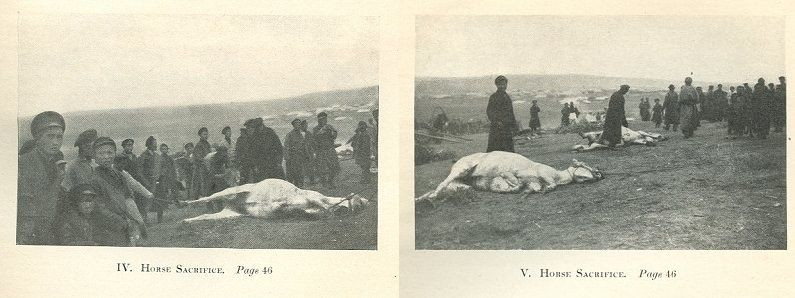 Türklerde neden at kurban edilirdi? İşte sebebi... - Resim: 6