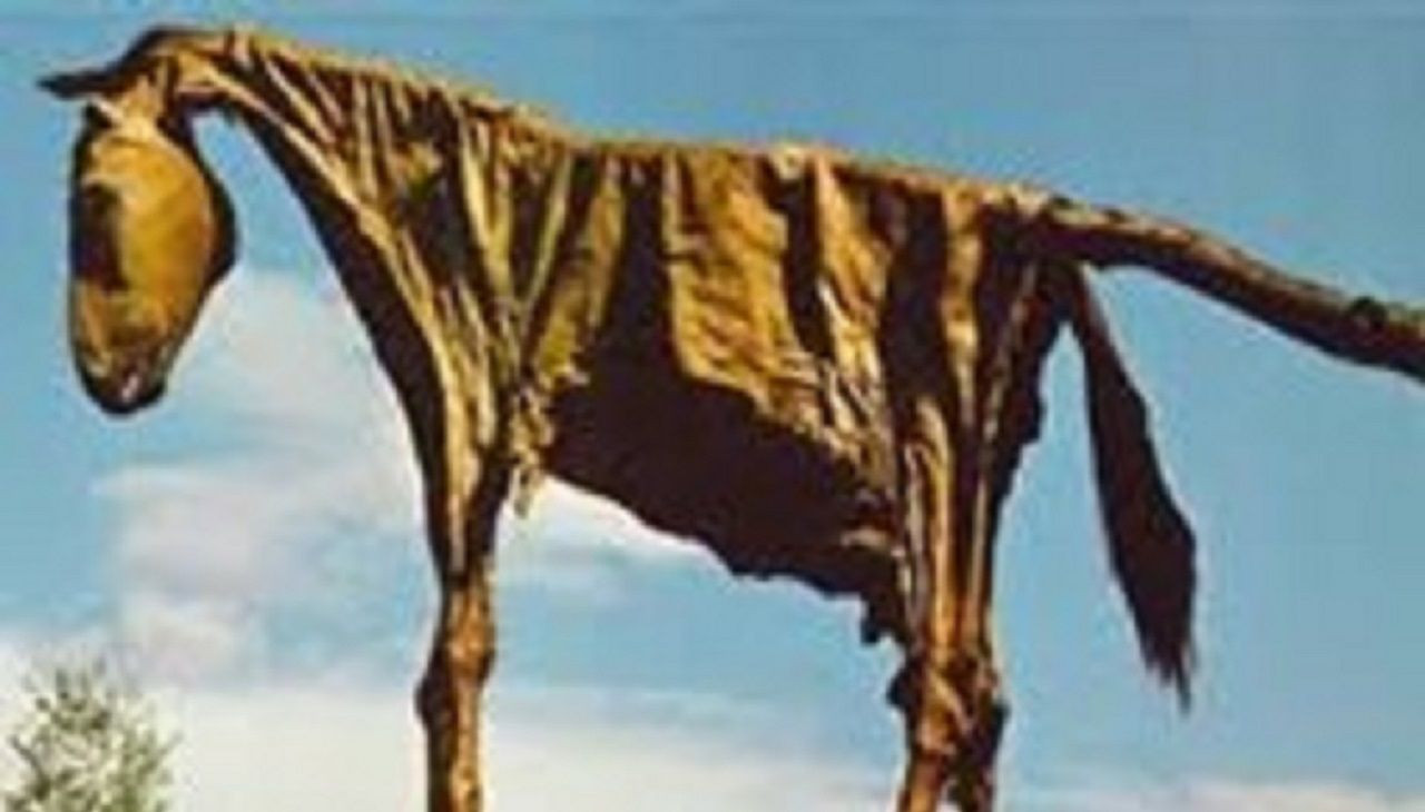 Türklerde neden at kurban edilirdi? İşte sebebi... - Resim: 7