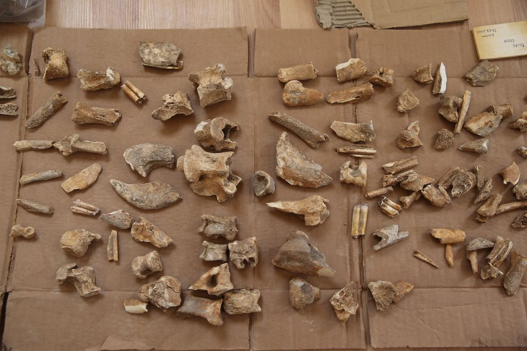 Göbeklitepeden daha eski