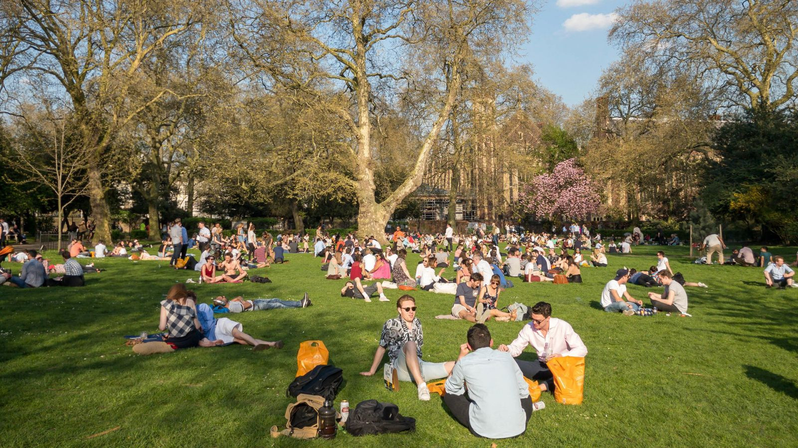 Park day. A Day in the Park. Sunny Day in uk. Фото креатив Коммонс студенты. Refreshments in Park.