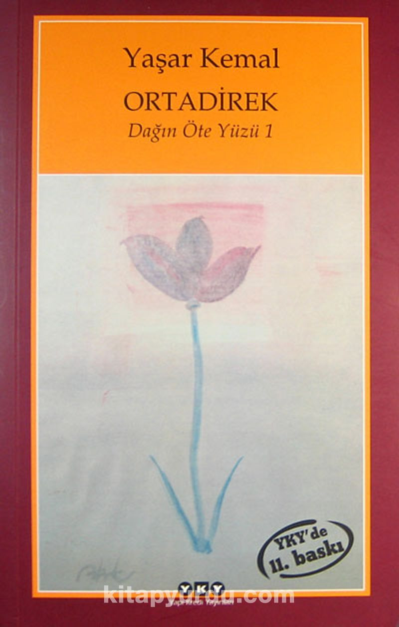 Türk Edebiyatının en iyi 50 romanı oylamayla belirlendi! Listede hangi kitaplar var? - Resim: 12