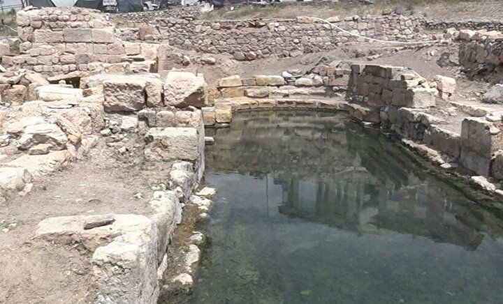 Dünya'da yalnızca 2 yerde var! Biri Türkiye'de! - Resim: 6