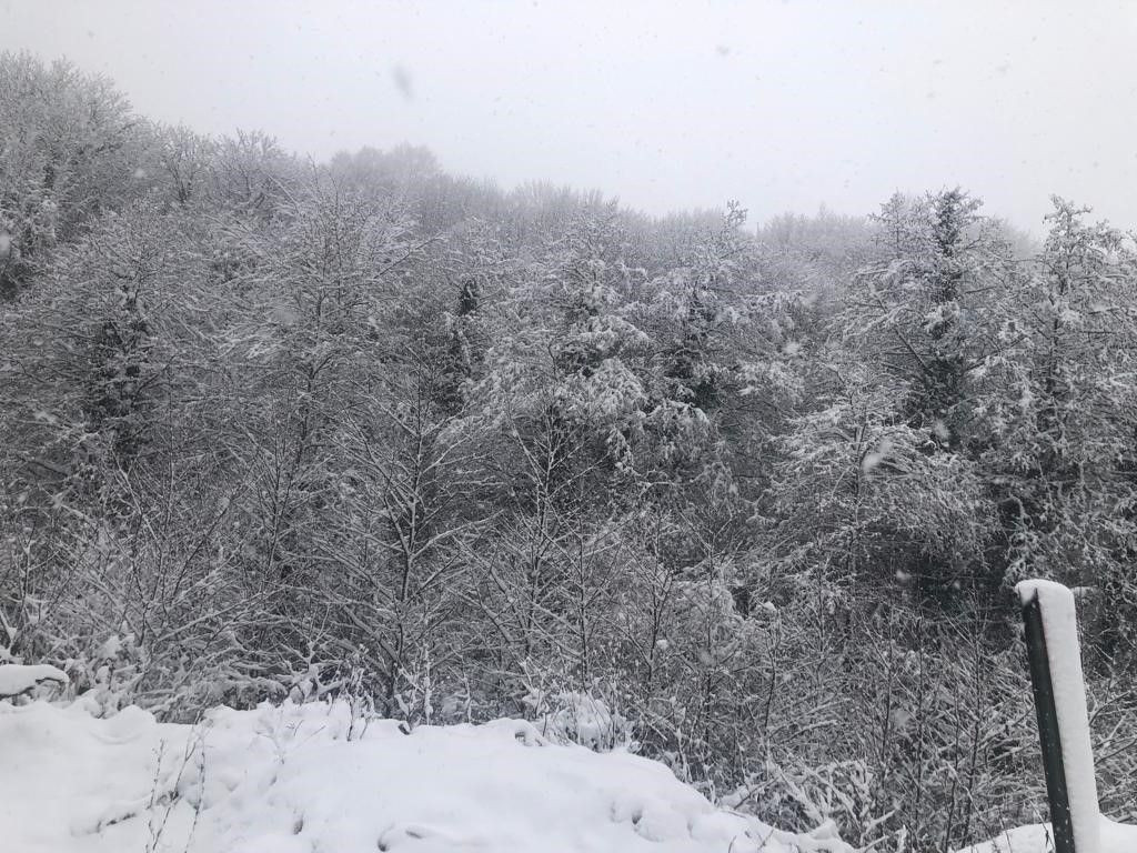 Karadeniz'de kar yağışı: Kartpostal gibi manzaralar oluştu - Resim: 7