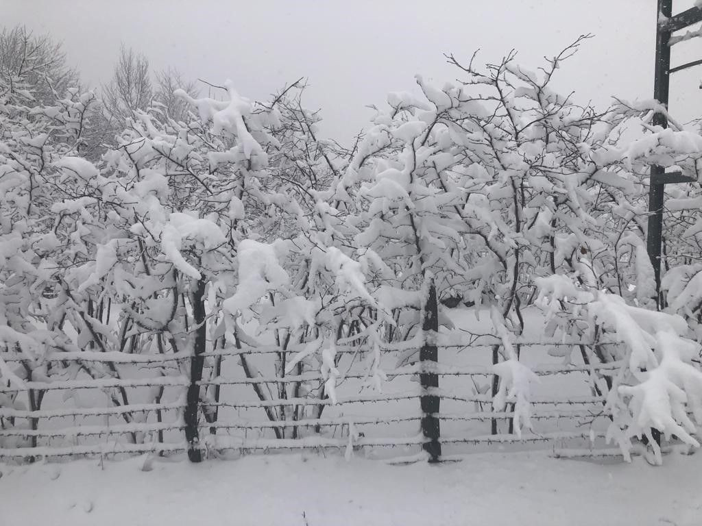 Karadeniz'de kar yağışı: Kartpostal gibi manzaralar oluştu - Resim: 9