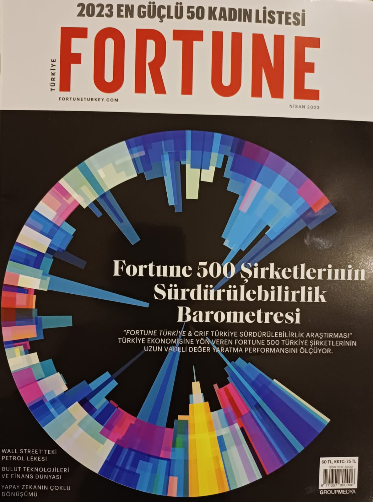 Fortune 500 şirketlerinin sürdürülebilirlik performansları Melih Baş